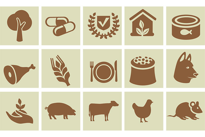 Animal and Pet Food